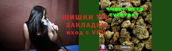 тгк Лагань