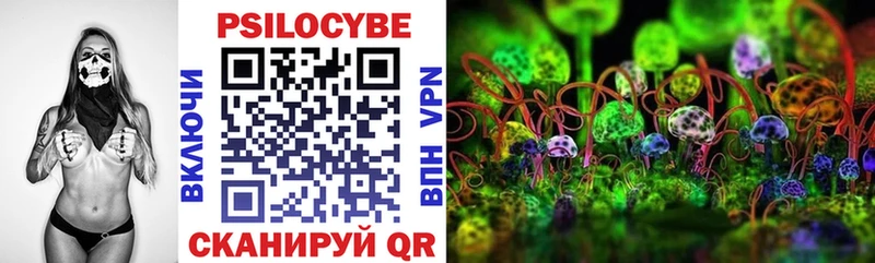 блэк спрут ONION  Нижний Новгород  Галлюциногенные грибы Psilocybine cubensis 
