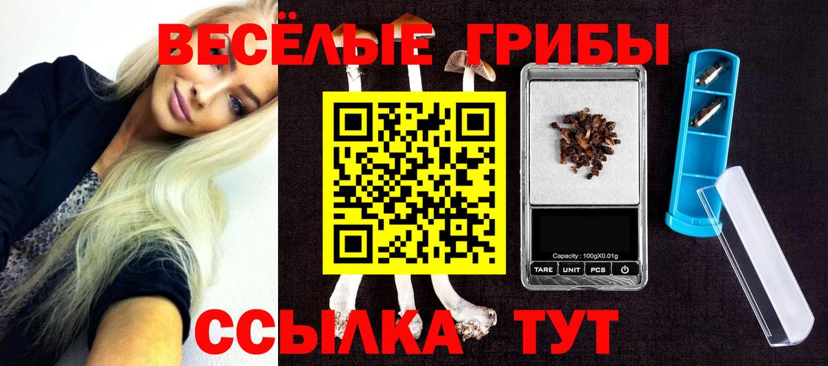 Псилоцибиновые грибы GOLDEN TEACHER Нижний Новгород