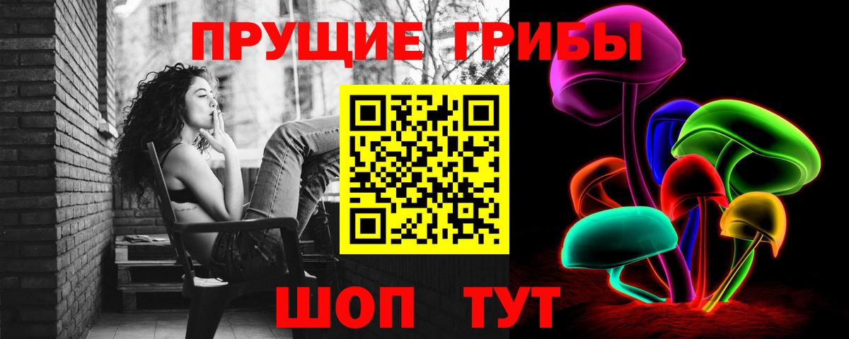 Псилоцибиновые грибы мицелий  Вход с VPN  Нижний Новгород 